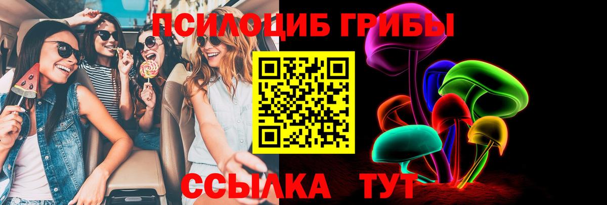 Псилоцибиновые грибы Psilocybe  Галлюциногенные грибы MAGIC MUSHROOMS  Сальск  Вход с VPN 