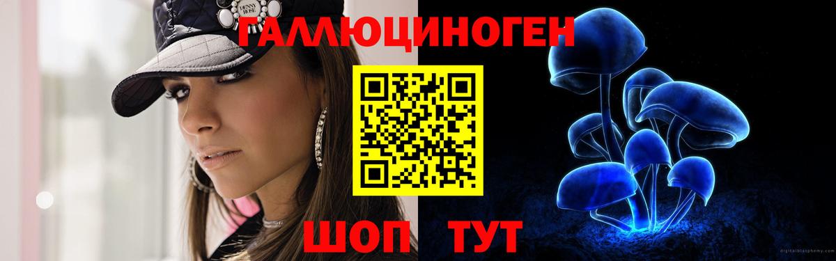 Псилоцибиновые грибы GOLDEN TEACHER Сальск