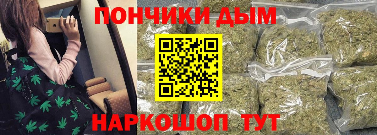Каннабис планчик  Шишки марихуана сатива  Вход с VPN  Сальск  Каннабис индика 